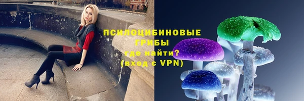 ПСИЛОЦИБИНОВЫЕ ГРИБЫ Лабытнанги