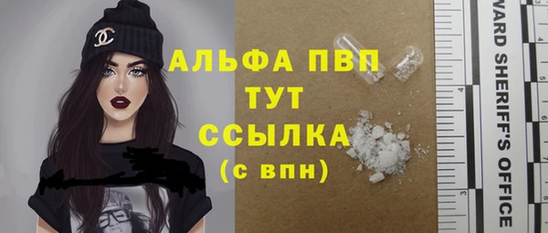 ПСИЛОЦИБИНОВЫЕ ГРИБЫ Лабытнанги
