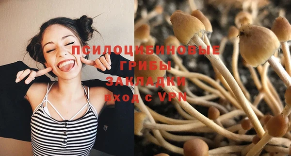 MDMA Premium VHQ Ладушкин